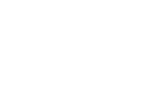 Palm Advocates